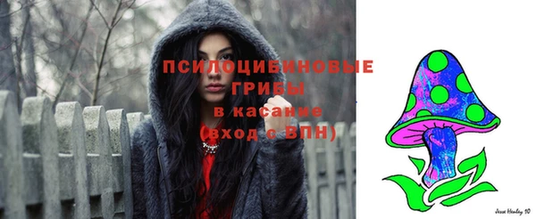 ALPHA PVP Новодвинск