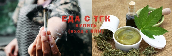индика Новозыбков