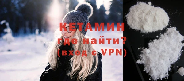 индика Новозыбков
