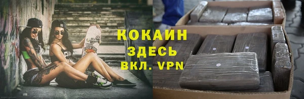 каннабис Новокубанск
