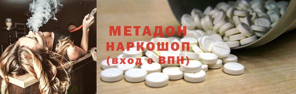 индика Новозыбков