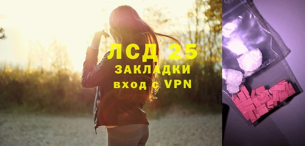 индика Новозыбков