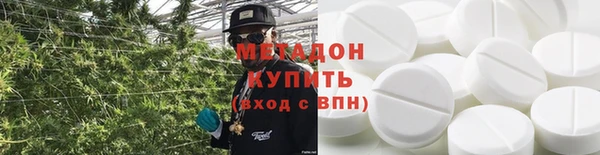 индика Новозыбков