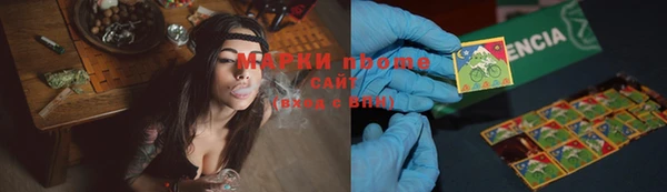 прущие крисы Болотное