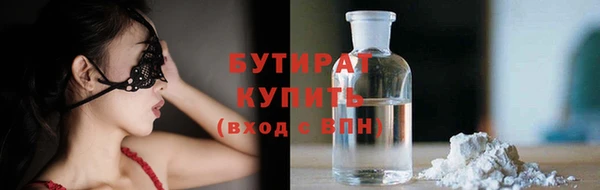 индика Новозыбков
