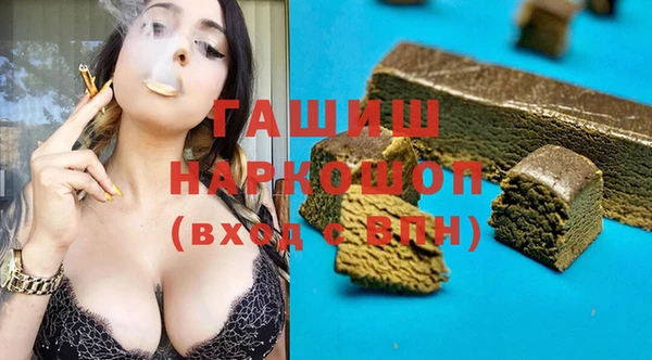 индика Новозыбков
