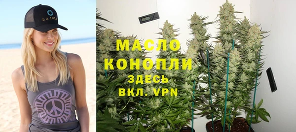 индика Новозыбков