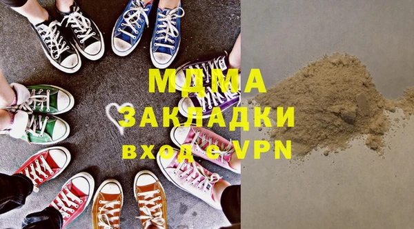 индика Новозыбков