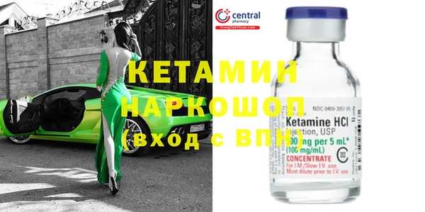индика Новозыбков