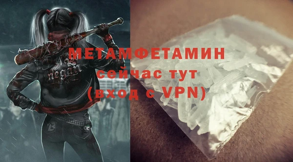 индика Новозыбков