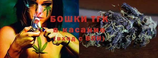 индика Новозыбков
