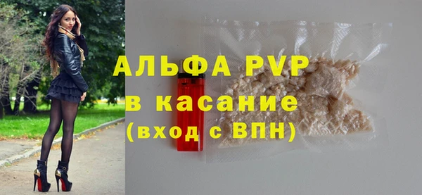 индика Новозыбков